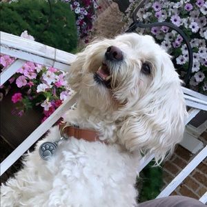 Meet your Posher, Bianca